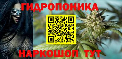 спайс Сланцы