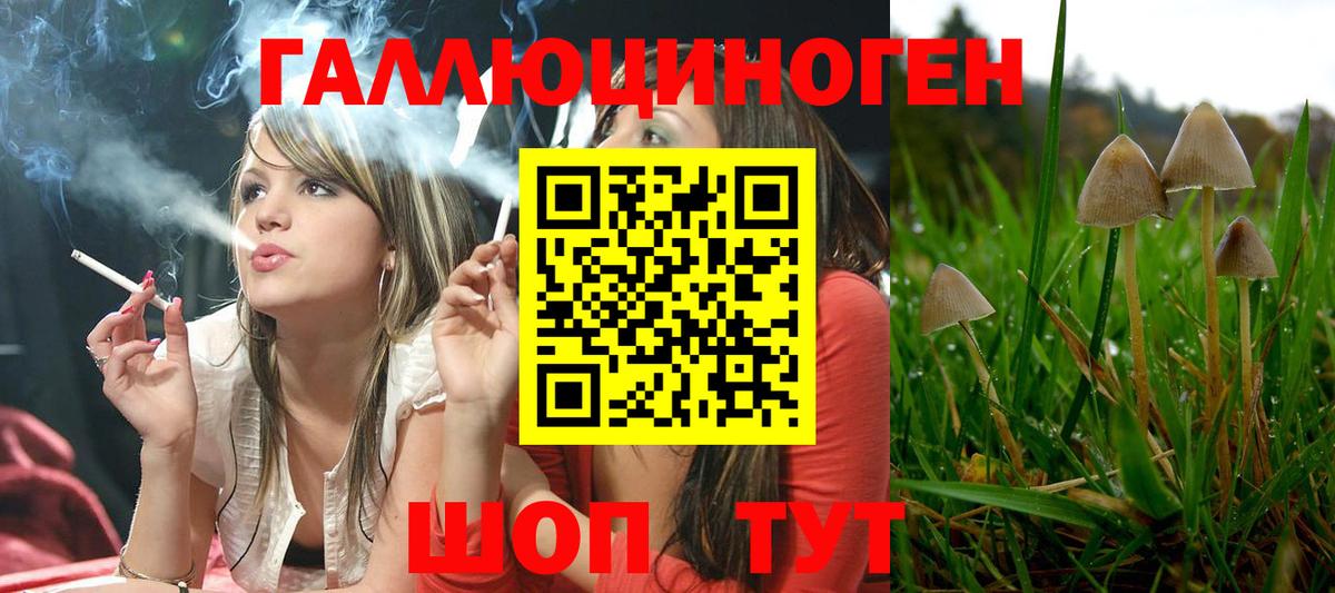 Псилоцибиновые грибы GOLDEN TEACHER Новороссийск